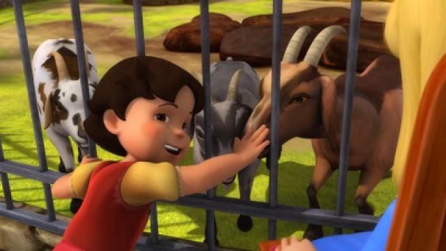 Goats in the City