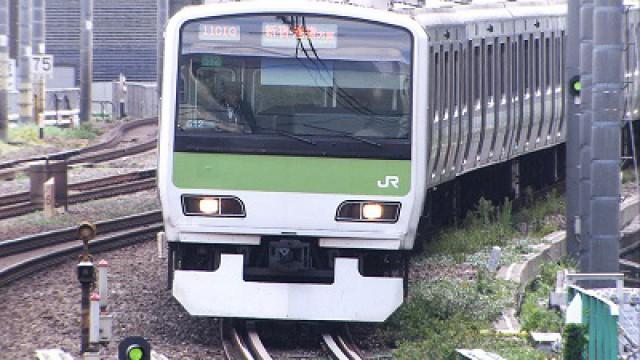 Dreams Along the Yamanote Line