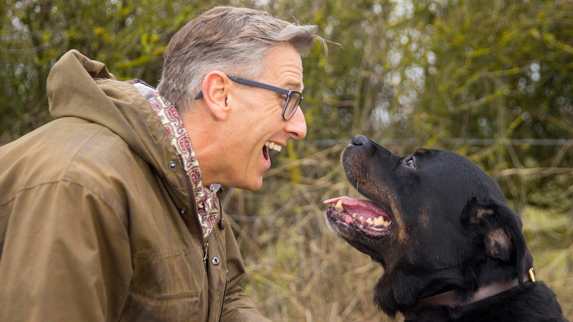 Dogs Behaving (Very) Badly