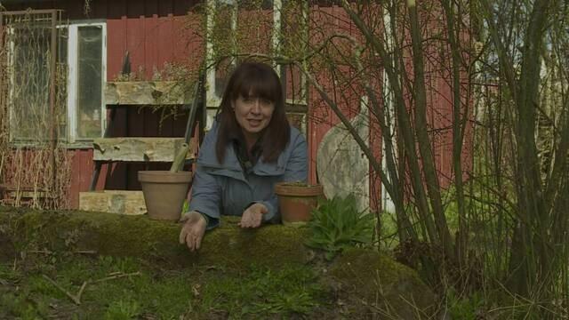 Våren 2012 - Avsnitt 7