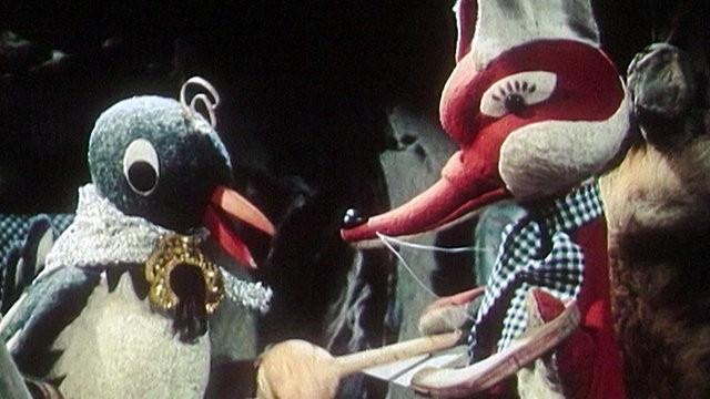 Der singende Fuchsschwanz