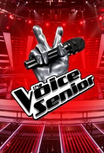 The Voice Senior (Italy)