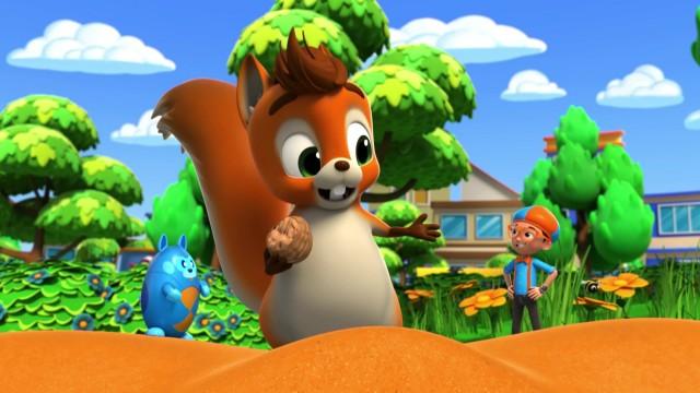 Squirrels