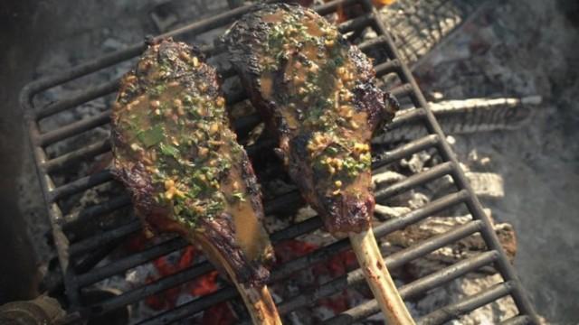 Wild Turkey Legs