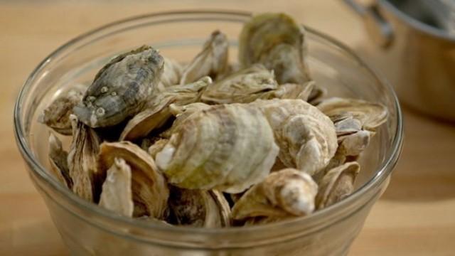 Shellfish