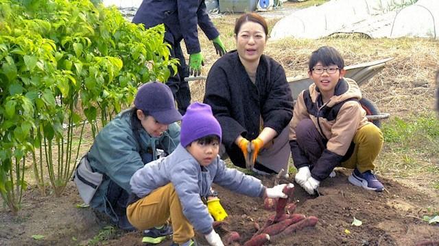 Nature's Bounty at an Okayama Community Garden