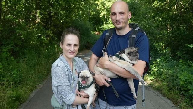 Das Leiden der Modehunde - Niedlich, aber krankgezüchtet?