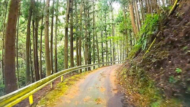 A Winding Road Through the Kii Mountains