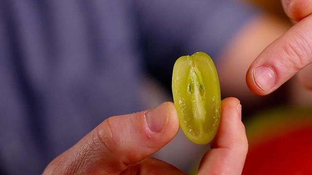 Why Seedless Fruit Is a Disaster Waiting To Happen