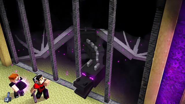 The Ender Dragon's Cage
