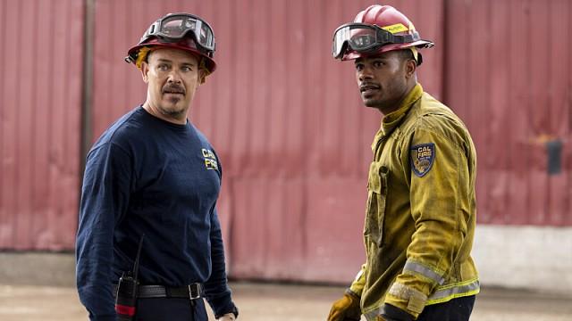 Like a Wounded Wildebeest