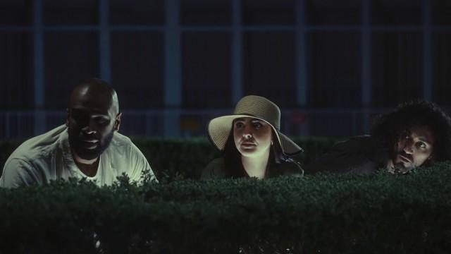 How can animals act?