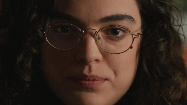 Il Professor Verdone