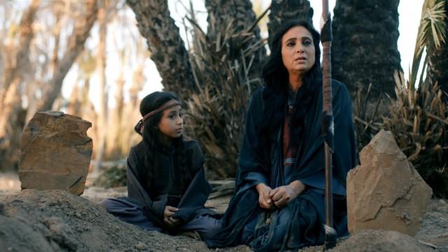 الخنساء: صياد الفوارس