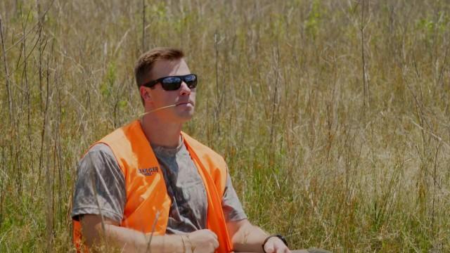 Pain, Pranks and Pastries