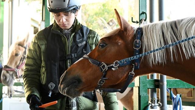 ランウェイを歩く美しい獣