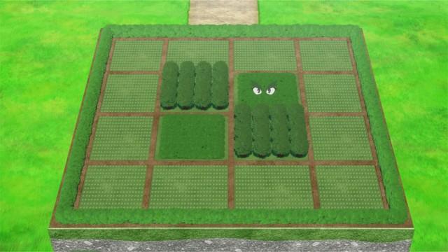 I Am a Field Without Equal