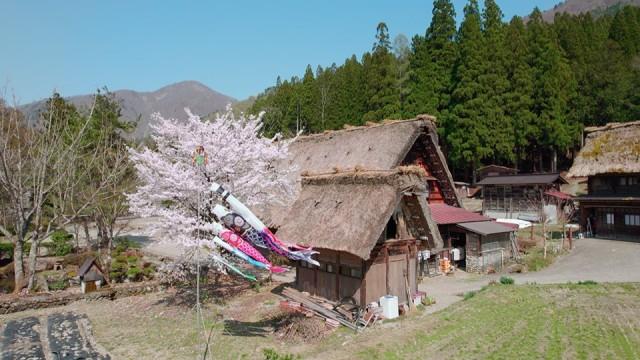 紀伊山地の霊場と参詣道、白神山地、知床など 〜 桜で巡る日本の世界遺産