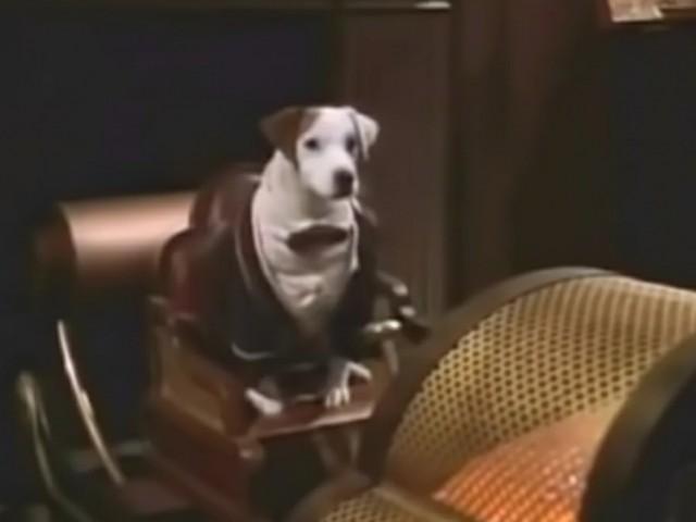Bark to the Future