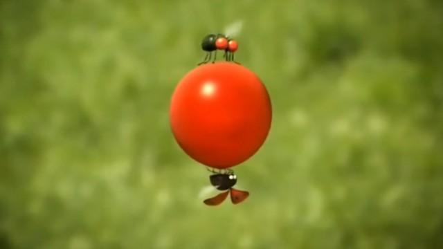 Cherry Tomato