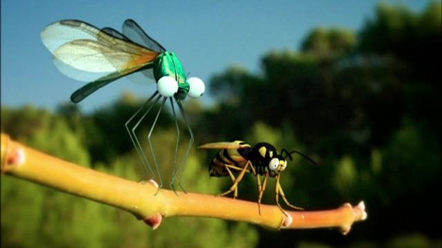 Insect High Velocity