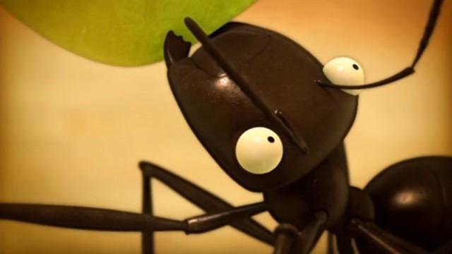 Cicada's Song