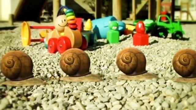 A Rolling Snail Gathers No Moss