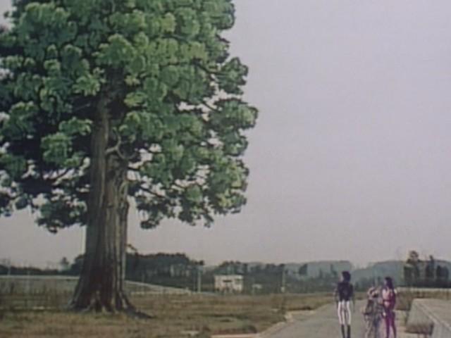 The Tale of a Certain Tree