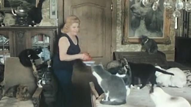 Femme entre chien et chat