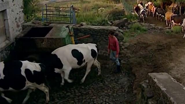 Vacances à la ferme