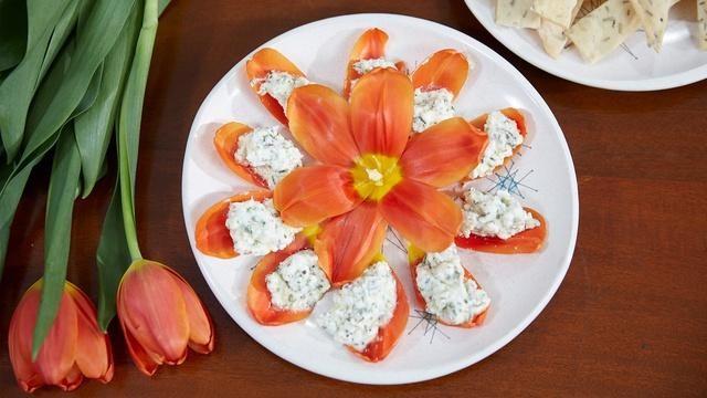 Tulips: Year-Round Spring