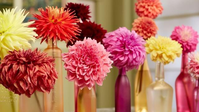 Beauty from the Flower Farm: Flowers in Season