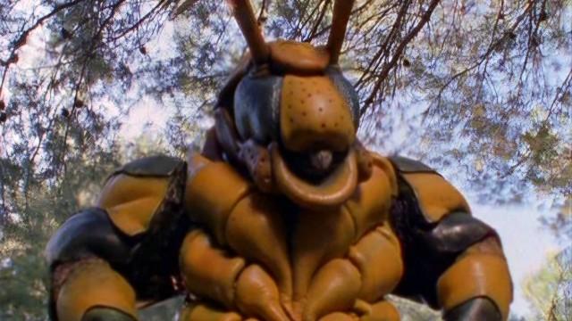 The Wasp with a Heart