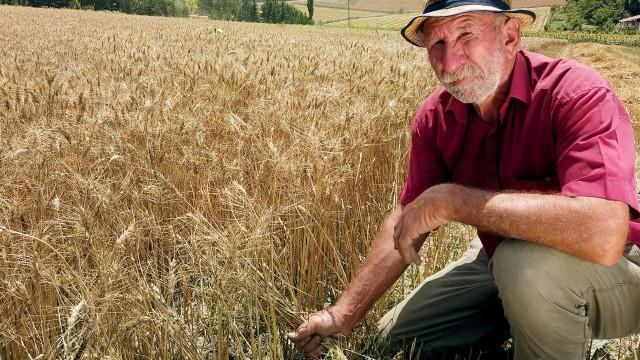 Brot für das Volk – Die Türkei in der Lebensmittelkrise