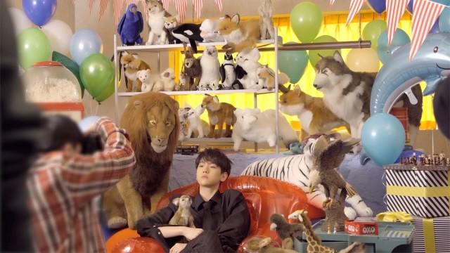 백현이의 브이로그 (큥쿠아리움홍보대사/나른나른/내려와밤비밤비/밤비지압)