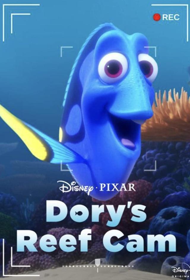 Dory's Reef Cam