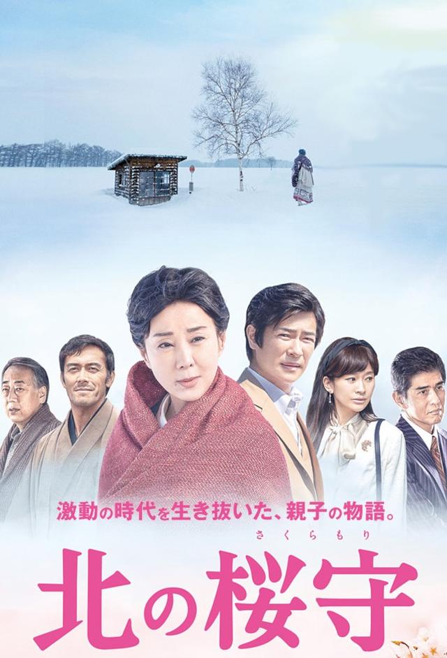 Sakura Guardian in the North