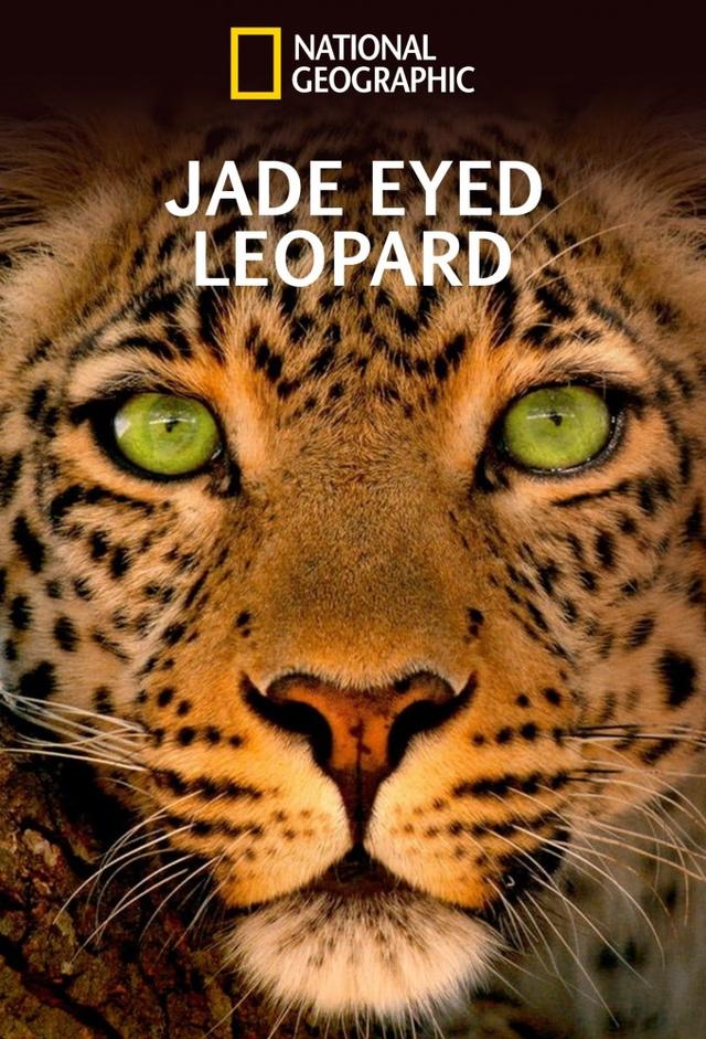 Jade Eyed Leopard