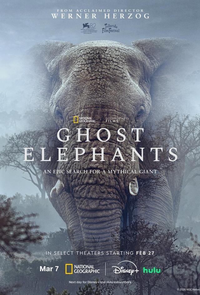 Ghost Elephants